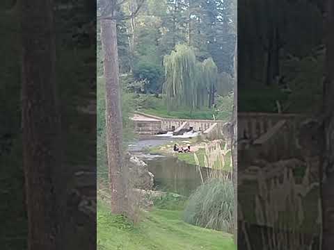 Caminando a la vera del rio Trapiche en San Luis, Aegentina