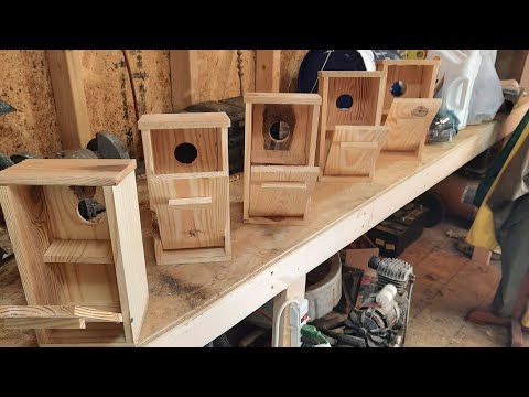 building squirrel boxes for local animal rescue #animalrescue #custombuilt