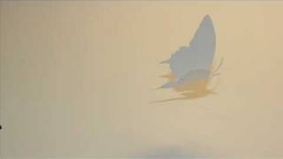 Classic FM - Butterfly