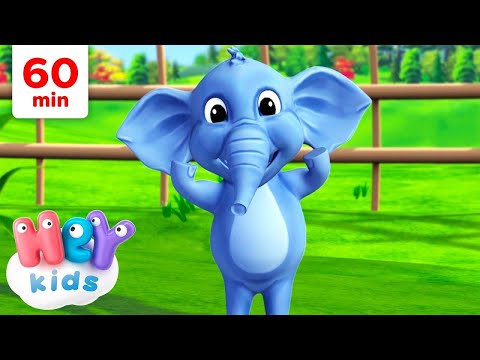 Tête, Épaules, Genoux et Pieds et Plus! | Une Heure! |  Chansons pour Enfants | HeyKids Français