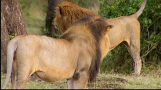 Peter Kater & Carlos Nakai / ♪ Wandering ♪ ☸ڿڰۣ——