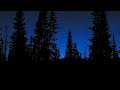 Tranquil Nighttime Forest / 10 Hours / #forestambience  #fallasleepinstantly  #naturesounds
