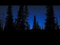 Tranquil Nighttime Forest 10 Hours Forestambience Fallasleepinstantly Naturesounds