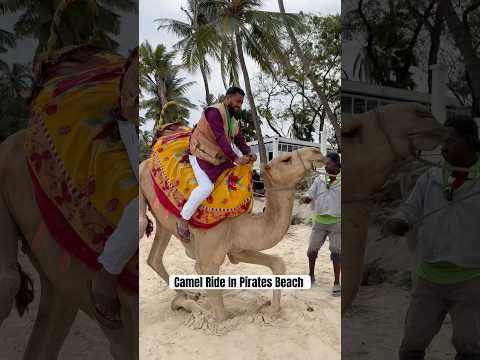 Camel Ride in Pirates Beach,Mombasa #camel #mombasa #pirates #beach