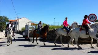 preview picture of video 'Freineda - Passeio a Cavalo Por Terras Raianas_1'
