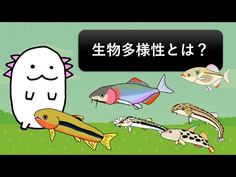 製薬業界は生物多様性の最初の受益者の 1 つです。多くの有効医薬品成分は天然分子から開発されています。