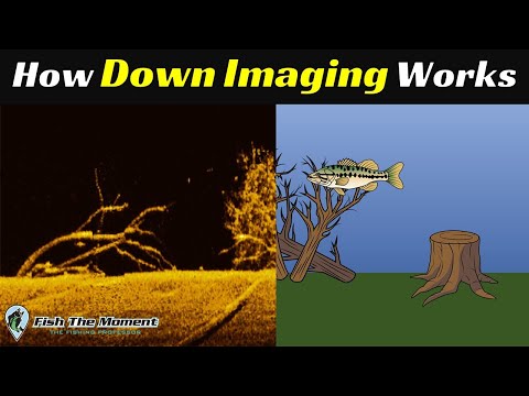 The LAST Down Imaging Explanation You Will Ever Need | Fish Finder Sonar Instruction
