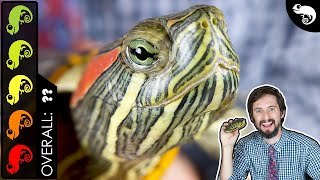 Red-Eared Slider, The Best Pet Turtle?