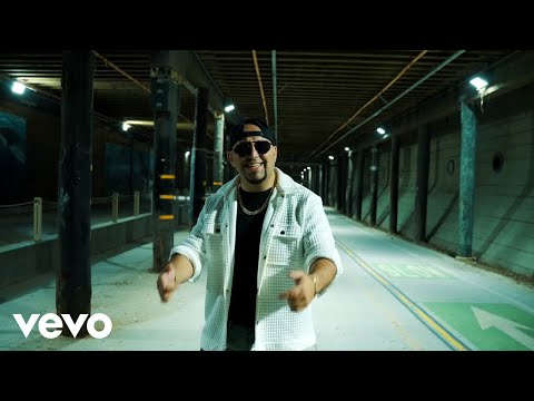 Dark Shadow X - It's Your Love ft. Lika Kosta