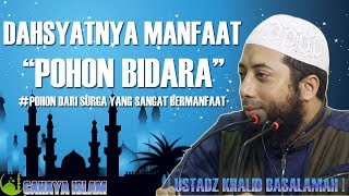 Download lagu DAHSYATNYA MANFAAT POHON BIDARA - CERAMAH USTADZ KHALID BASALAMAH mp3