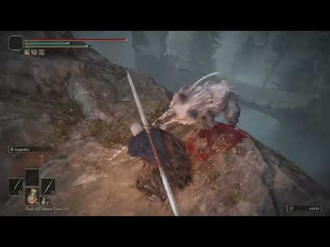 A reenactment of Mufasa's death in Elden Ring #fromsoftware #eldenring