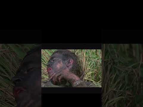 "I'm popping smoke” Flight of the Intruder - A6 Intruder