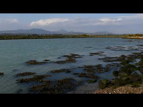 The Breaches Timelapse daytime #kilcoole #wicklow #ireland #wildlife #nature