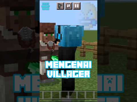 Mind-blowing Minecraft Villager Secrets!