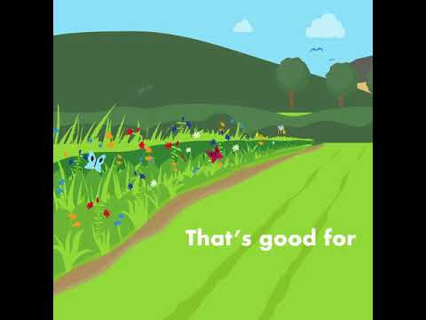 Habitat Conservation