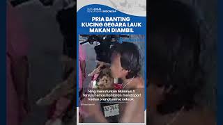 Viral Video Pria di Solo Tega Banting Kucing Gara-gara Lauk Makan Diambil, Kini Dilaporkan ke Polisi