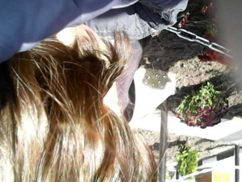 Sarja de la Robanesti