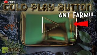 Turning My YOUTUBE GOLD PLAY BUTTON Into an ANT FARM!