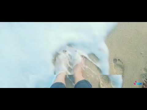 IN BEACH ⛱ ( short video)