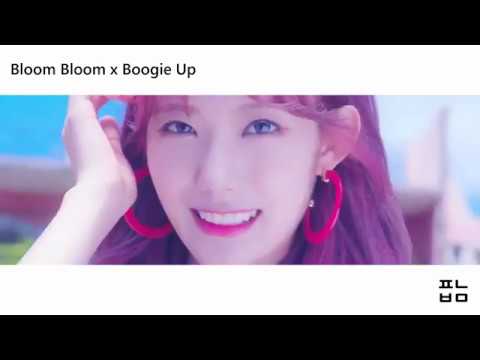Bloom Bloom x Boogie Up (The Boyz & WJSN)