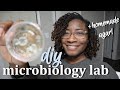 I tried making homemade agar plates w/ gelatin | DIY MICROBIOLOGY