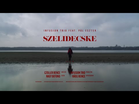 InFusion Trio feat. Pál Eszter - Szelidecske