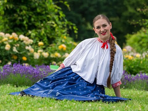 Jedliniok - Wysoka górka