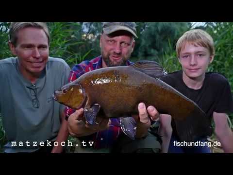 Matze Koch: Reportage Obstacle Course - Matze's Antics 08-2019