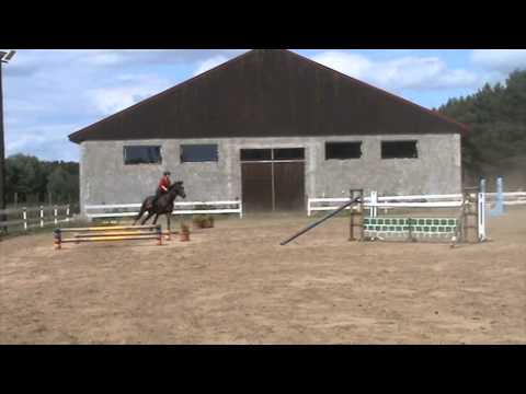 Otis  trening parkur 110cm