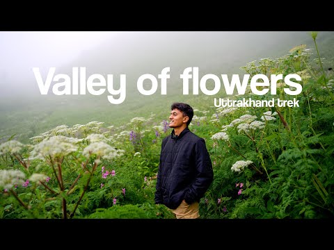 I accidentally went on a most stunning trek of India | Valley of flowers🌼