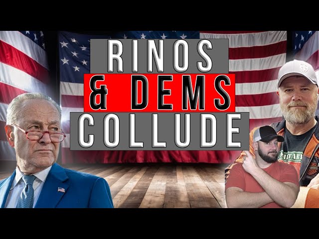 RINOs & Dems Pull A Fast One... They Send Left Wing Media After MAGA & It Worked...