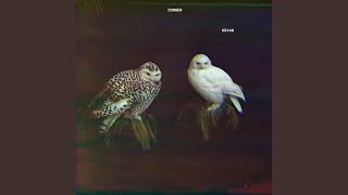 Aladdin och lampan, del 1