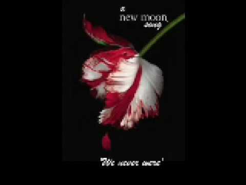We Never Were (New Moon Song) by Bashar Murad