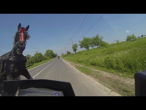 Sunday 11.05 2014 Near miss accident (motorcycle girl vs horse) Video