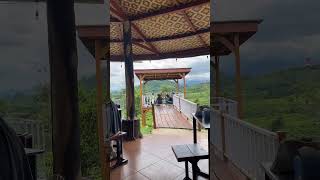 Download lagu menikmati suasana kebun teh di coffee shop #shorts mp3 Download lagu menikmati suasana kebun teh di coffee shop #shorts mp3