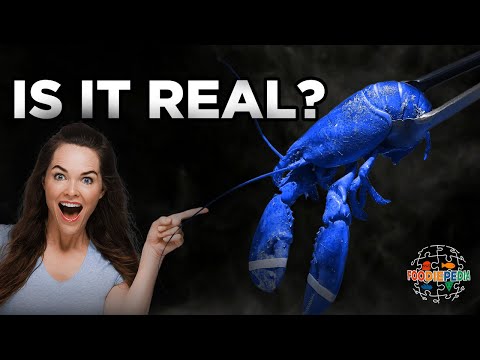 Lagostas: da comida da prisão ao luxo caro