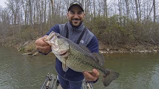 Pre-Spawn Bass Fishing (They Murdered My New CatchCo. Spinnerbait!!!)