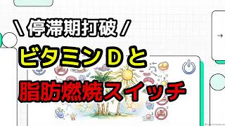 ダイエットの停滞期を一瞬で抜ける方法！ビタミンDと日光浴の科学