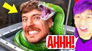 LANKYBOX Reacts To MrBEAST - Face Your Biggest Fear To Win $800,000!?