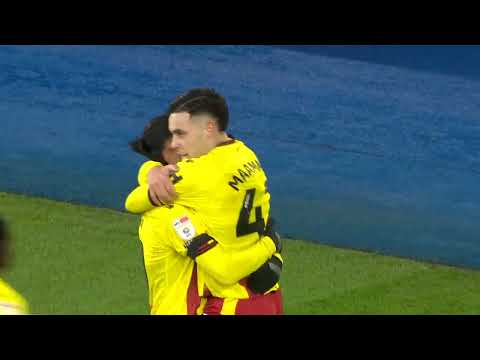 Leicester City v Watford Highlights