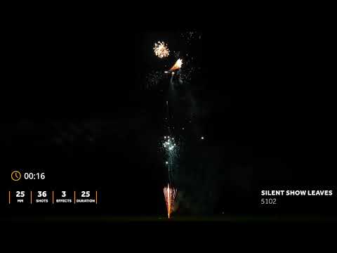 5102 - Silent Show leaves