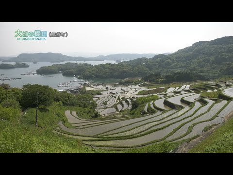 【佐賀県唐津市の風景：4K映像】大浦の棚田[肥前町大浦] (令和4年4月22日撮影）