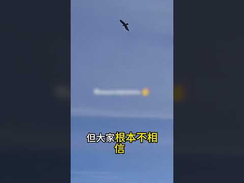 她有一個老朋友：老鷹