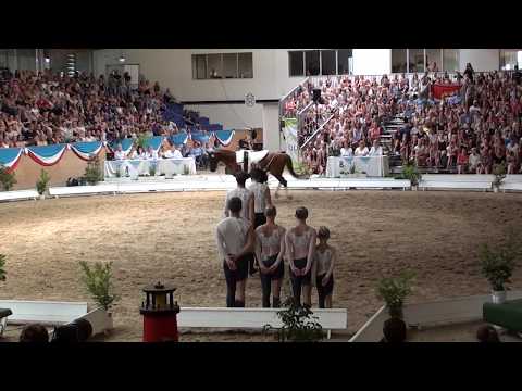 Fredenbeck I   Deutscher Meister Gruppenvoltigieren 2018