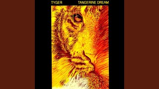 Kadr z teledysku Tyger tekst piosenki TANGERINE DREAM