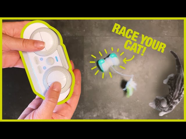 Video teaser for EBI remote control cat chaser electronic cat toy