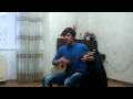 gio basilashvili albat iwvimebs 