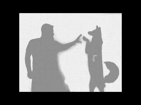 Demon Fox - Η ζωή είναι για μαζί