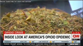 CNN Kratom Report With Sanjay Gupta; Possible Opiod Treatment