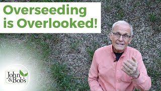 Overseeding Lawn in the Spring | Make Your Lawn Look Its Best!